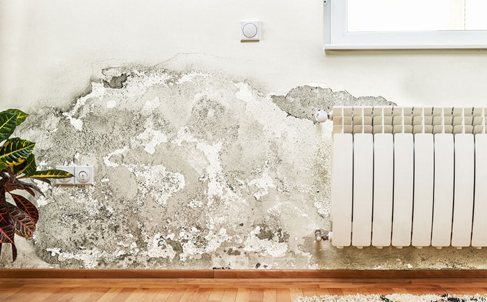 consejos sobre humedades en las paredes de casa